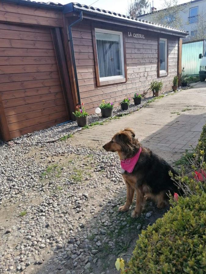 Domek Letni Gdynia Luaran gambar